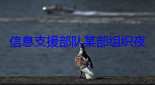 队某部组织练图信息支援部夜间修理训